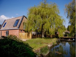 Willow tree barn